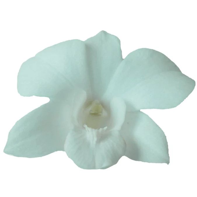 Loose Orchid Blooms - Box of 50 - Image 8